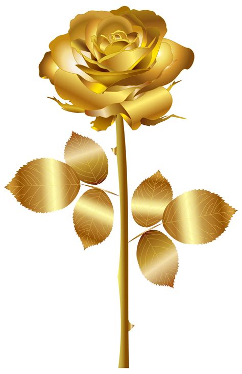 golden rose images|golden rose clip art.